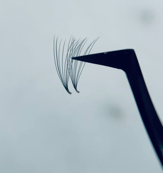 10D Promade Lash Fans – D Curl