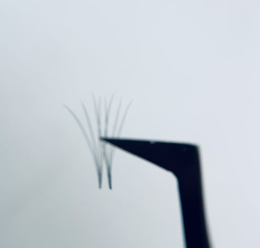 4D Promade Lash Fans – D Curl