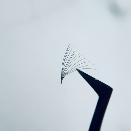 12D Promade Lash Fans – D Curl