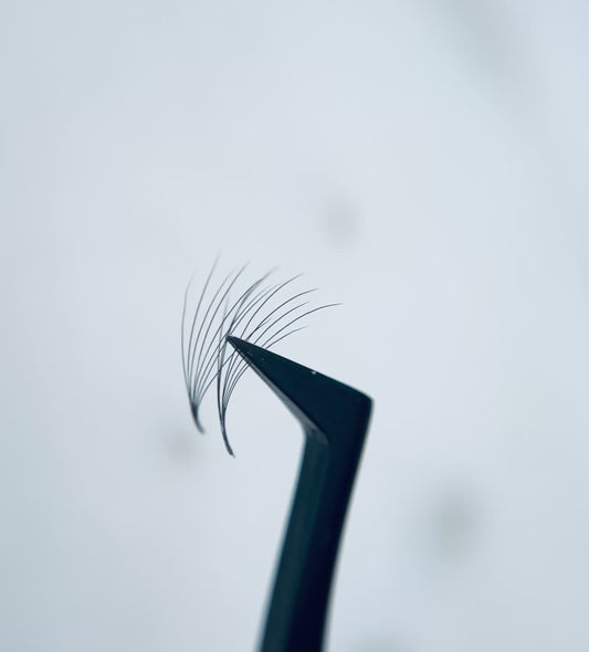 Camilla 8D Promade Lash Fans – D Curl